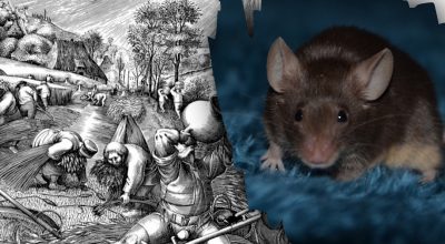 Găsește soluția: Gă puzzles și enigme captivante