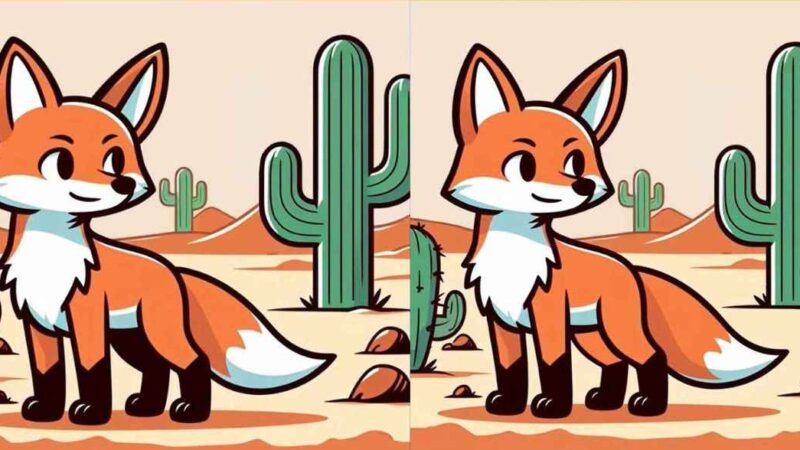 Red Fox Puzzle: devi trovare tre differenze in 11 secondi