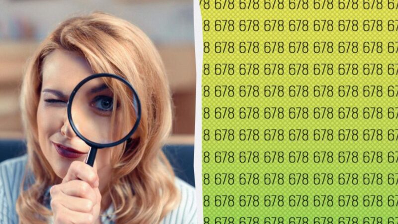 Se riesci a trovare il numero 617 in 7 secondi, hai Eagle Eye: un avvincente gioco di puzzle