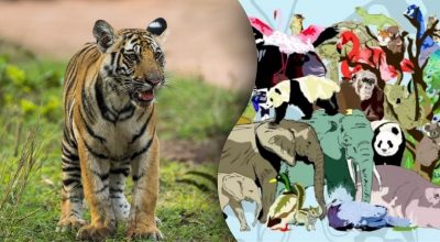 Găsește soluția: Gă puzzles și enigme captivante