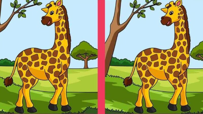 Solo chi ha la vista acuta può individuare 3 differenze in 14 secondi: il mistero dell'attenzione