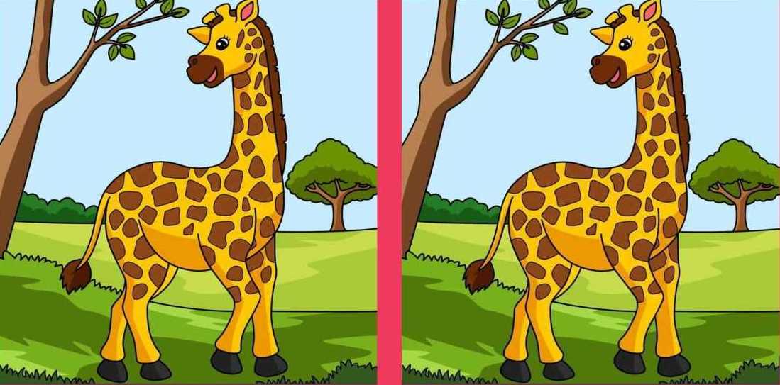 Solo chi ha la vista acuta può individuare 3 differenze in 14 secondi: il mistero dell'attenzione
