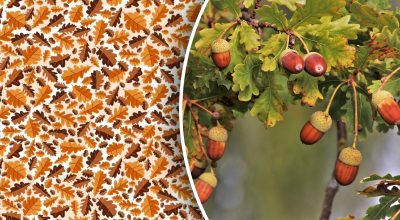 Găsește soluția: Gă puzzles și enigme captivante