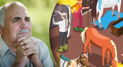 Solo i geni possono farlo: solo il 15% delle persone riesce a trovare 5 ferri di cavallo in 10 secondi