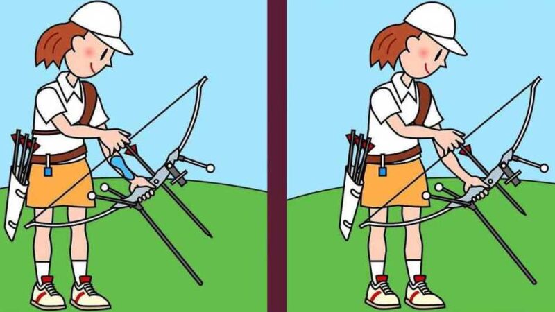 Solo i più attenti noteranno 3 differenze: l'enigma richiede 16 secondi per essere risolto