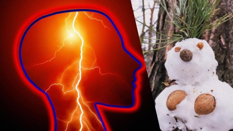 Solo il 2% delle persone più attente troverà il coniglio in 9 secondi: un complicato puzzle game