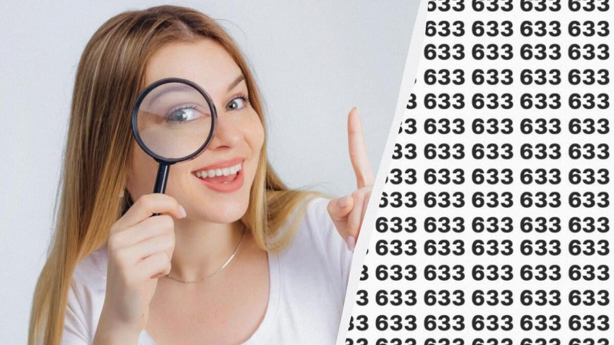 Solo l'1% dei geni riesce a trovare il numero 663 in 10 secondi: una straordinaria illusione ottica