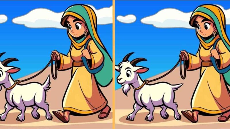 Solo le persone più attente riescono a individuare 3 differenze in 10 secondi: l'enigma di un uomo intelligente