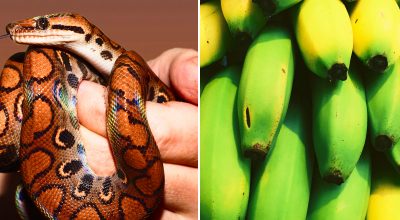 Găsește soluția: Gă puzzles și enigme captivante