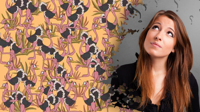 Solo poche persone riescono a vedere l'ombrello di uno struzzo in 11 secondi: un mistero difficile