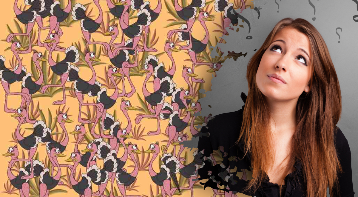 Solo poche persone riescono a vedere l'ombrello di uno struzzo in 11 secondi: un mistero difficile