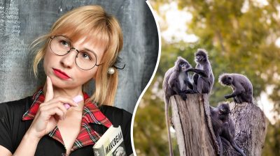 Găsește soluția: Gă puzzles și enigme captivante