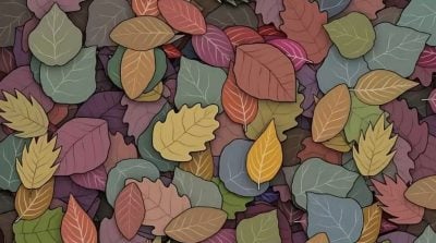 Găsește soluția: Gă puzzles și enigme captivante