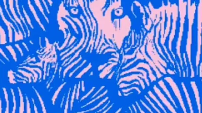 Test fotografico: l'illusione ottica determinerà le tue abilità sociali