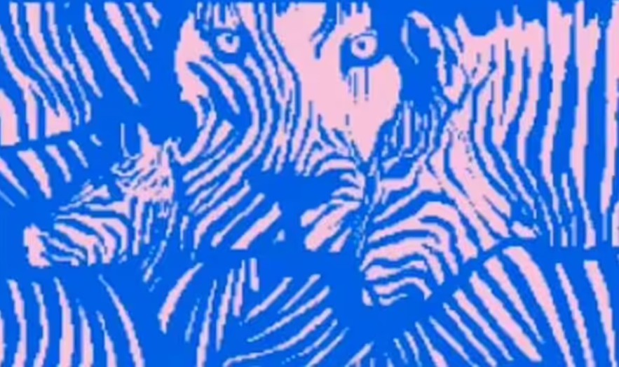 Test fotografico: l'illusione ottica determinerà le tue abilità sociali