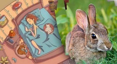 Găsește soluția: Gă puzzles și enigme captivante