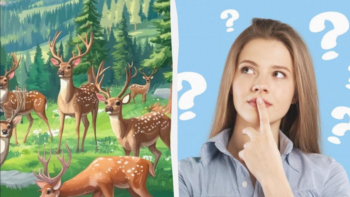 Trova il passerotto tra le renne in 6 secondi: un puzzle game magico