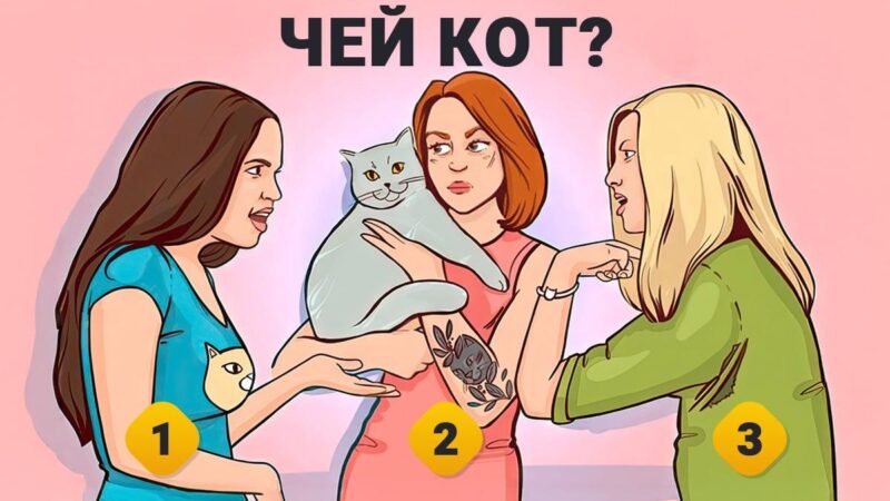 Trova il proprietario del gatto in 7 secondi: un puzzle test del QI.