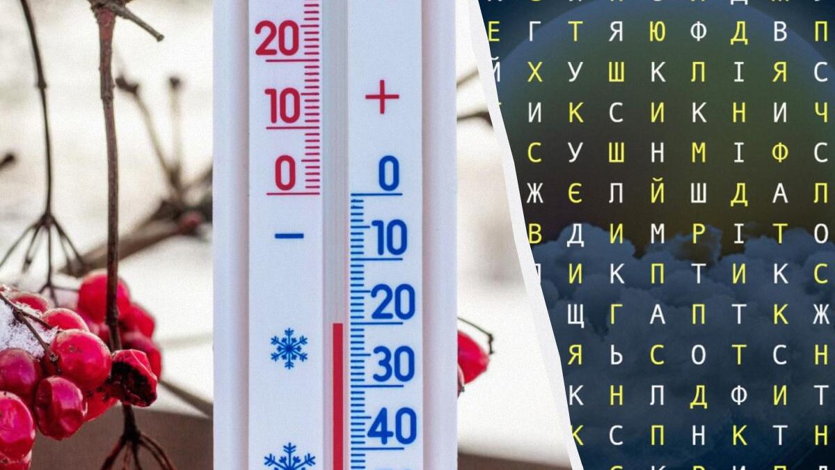 Trova la parola "forecaster" in 11 secondi: una straordinaria illusione ottica