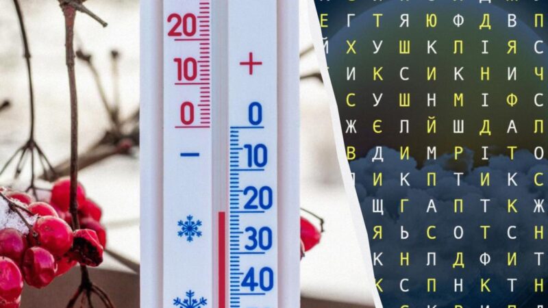 Trova la parola "forecaster" in 11 secondi: una straordinaria illusione ottica