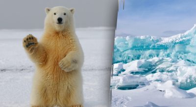 Găsește soluția: Gă puzzles și enigme captivante