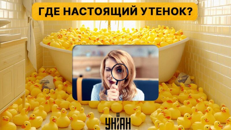 Trova una vera papera tra centinaia di giocattoli in 5 secondi: un avvincente gioco di puzzle