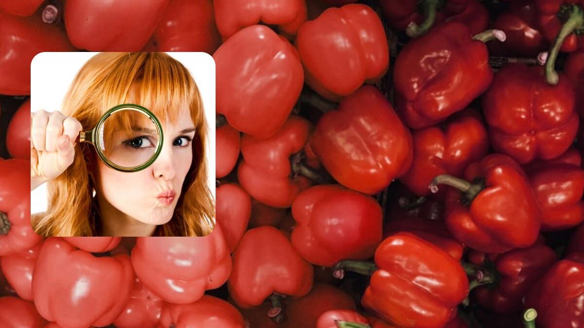 Tutti vedono i peperoni, ma tu devi trovare i pomodori: un puzzle game super impegnativo