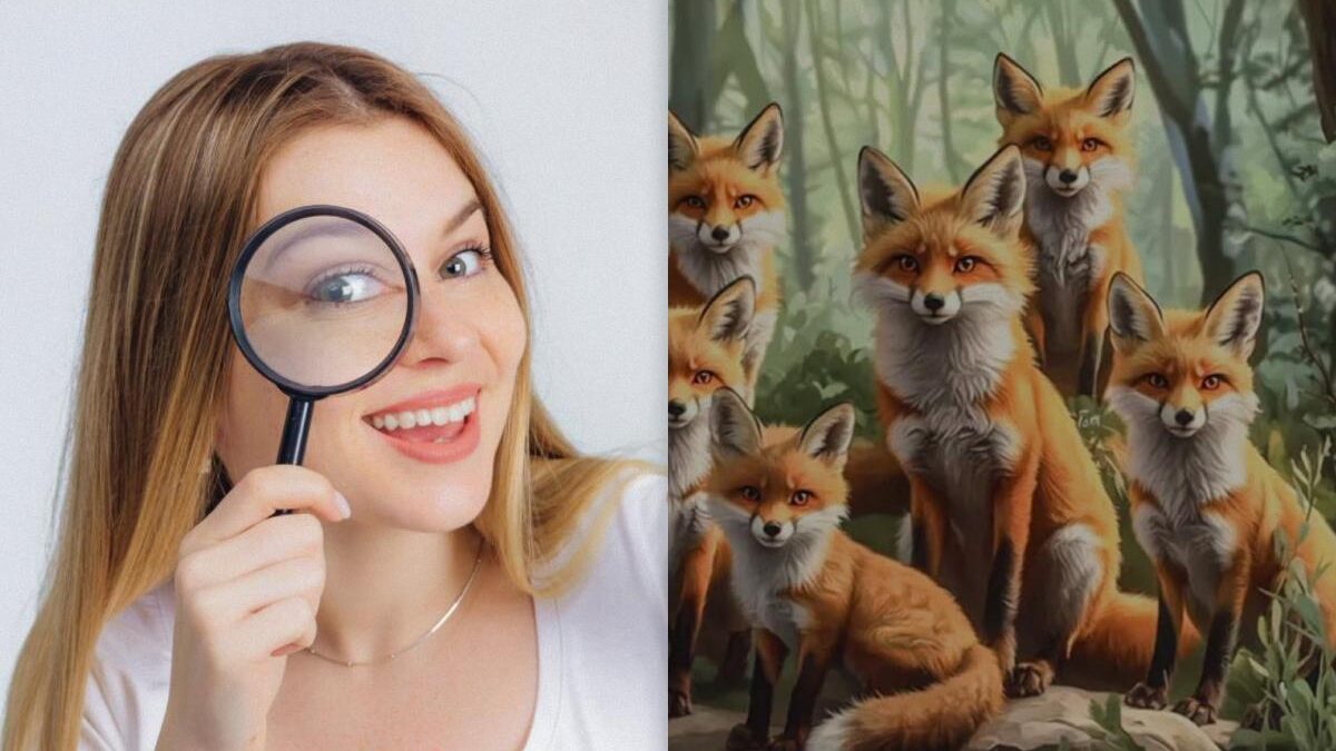 Tutti vedono la volpe, ma tu devi trovare 2 scoiattoli in 8 secondi: un puzzle game sorprendentemente difficile