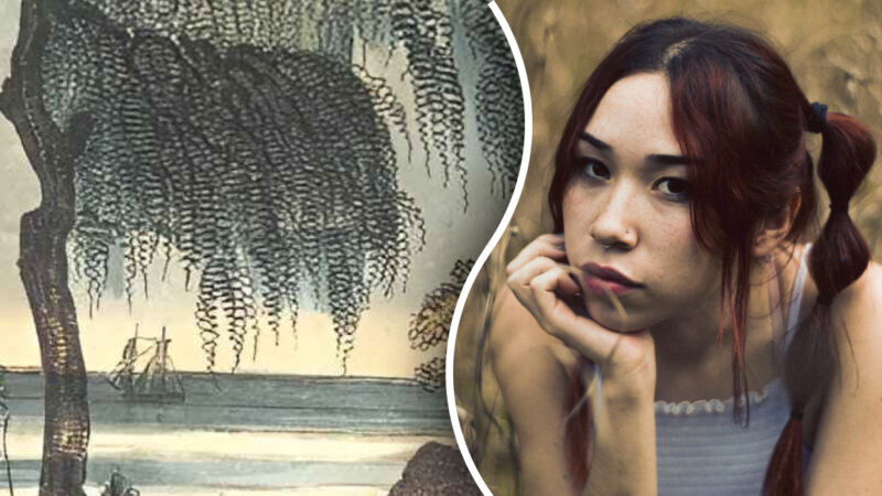 Un indovinello per la persona più attenta: devi trovare la persona nella foto entro 5 secondi.