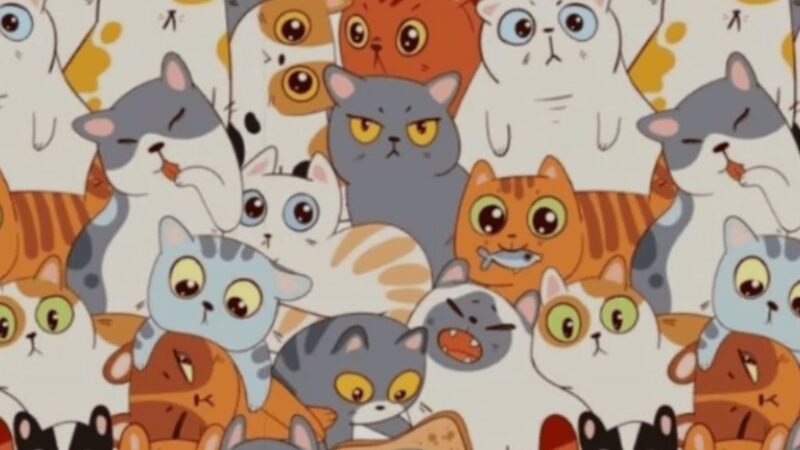 Un puzzle che solo l'1% degli utenti ha risolto: metti alla prova le tue capacità di osservazione