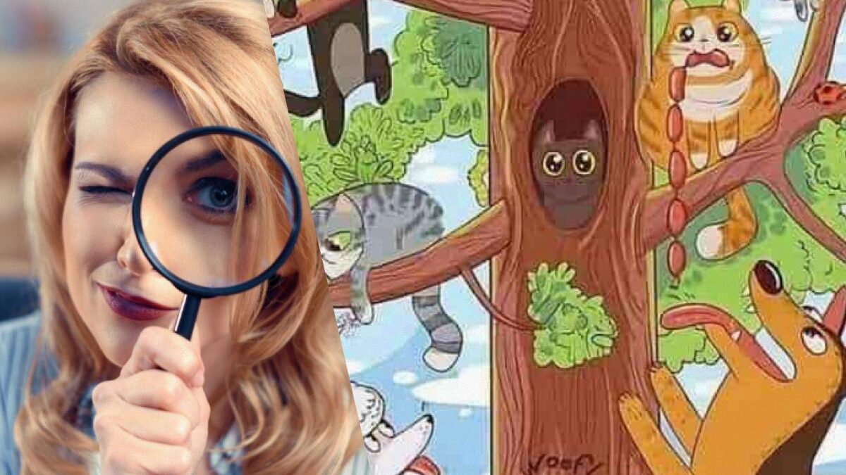 Un puzzle che ti farà impazzire: devi trovare il pesce tra i gatti in soli 5 secondi