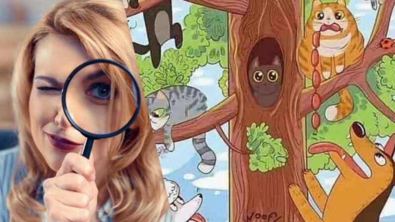 Un puzzle che ti farà impazzire: devi trovare il pesce tra i gatti in soli 5 secondi