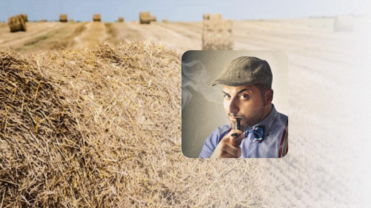 Un puzzle con errori: solo un vero detective può comprendere il caso