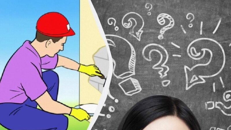 Un puzzle per gli occhi d'aquila: ci vogliono solo 15 secondi per risolverlo