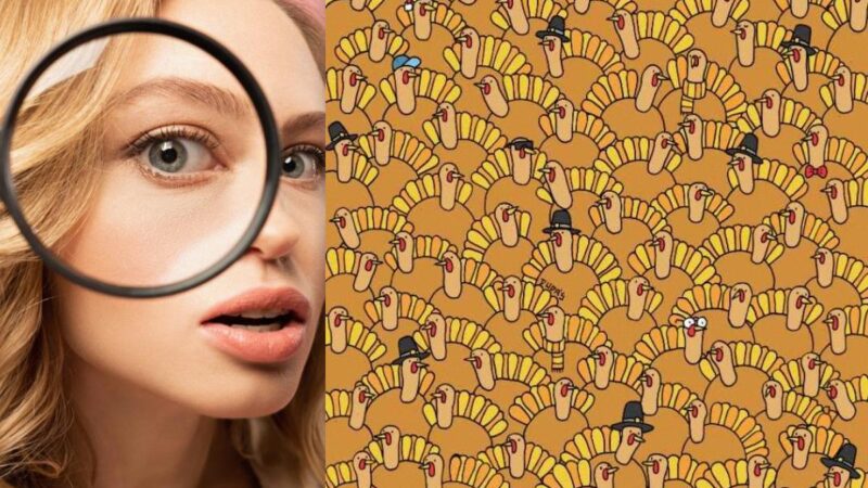 Un puzzle per supervedenti: trova la zucca del tacchino in 7 secondi