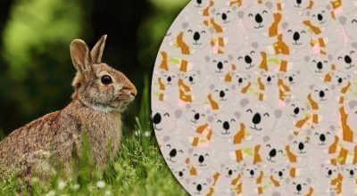 Găsește soluția: Gă puzzles și enigme captivante