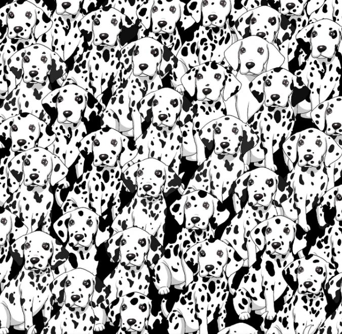 Trova il cane non macchiato tra questi cani maculati - gioco di puzzle