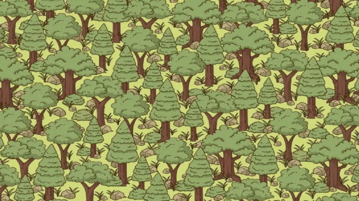 Foto di Jagran Joshi