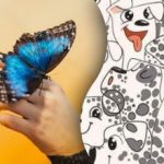 Solo in pochi possono farlo: solo un genio può trovarne uno