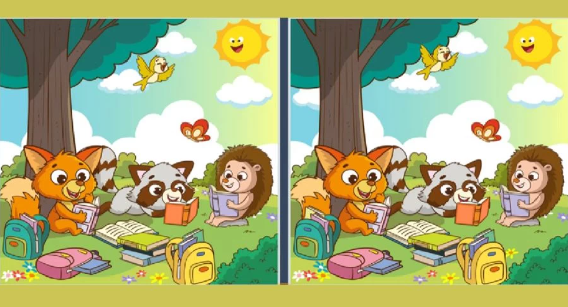 Puzzle divertenti per persone con una vista acuta: mettiti alla prova in 22 secondi